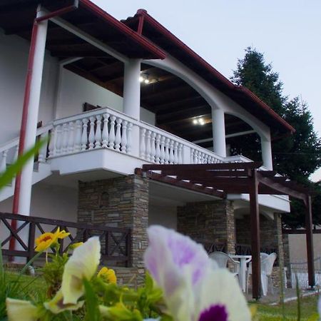 Villa Paradisos Likostomon Extérieur photo