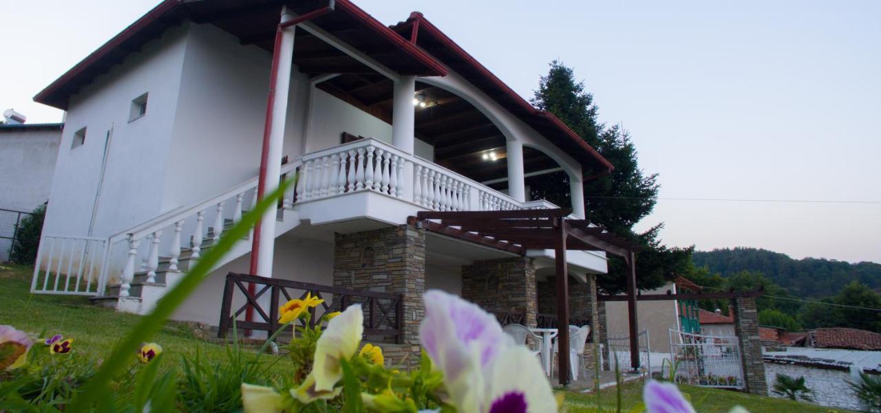 Villa Paradisos Likostomon Extérieur photo