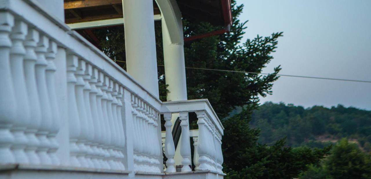 Villa Paradisos Likostomon Extérieur photo