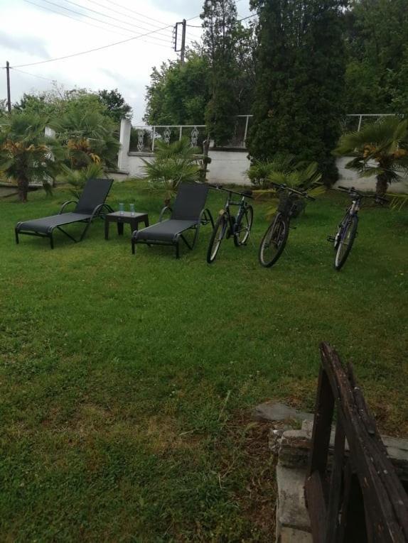 Villa Paradisos Likostomon Extérieur photo