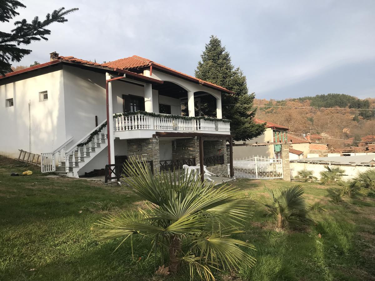 Villa Paradisos Likostomon Extérieur photo